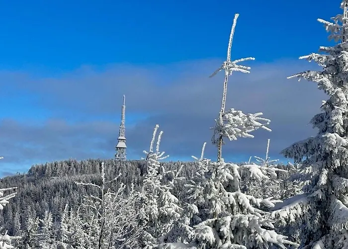 Szczyrkowskie & Fun Widokowy 5