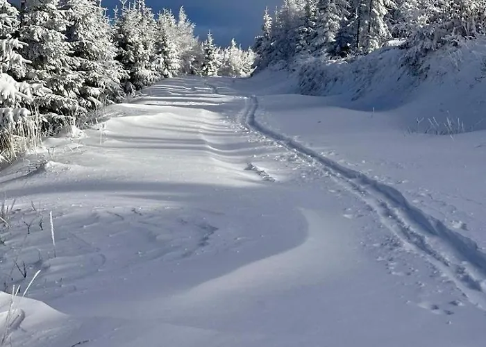 Appartement Szczyrkowskie & Fun Widokowy 5