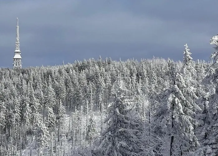 Szczyrkowskie & Fun Widokowy 5 Szczyrk